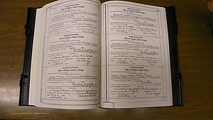 Laurens Co, GA, Marriages Book U, 1934 - 1944, White, P 160-161.JPG