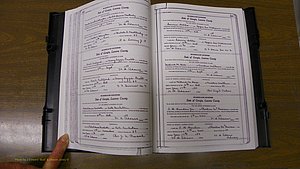 Laurens Co, GA, Marriages Book U, 1934 - 1944, White, P 338-339.JPG