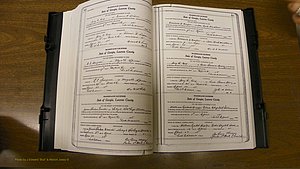 Laurens Co, GA, Marriages Book U, 1934 - 1944, White, P 440-441.JPG