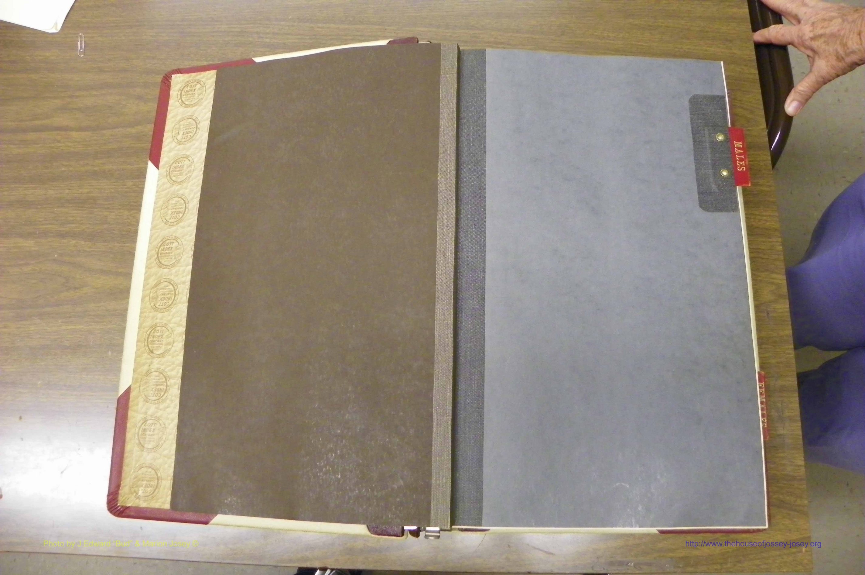 Laurens Co, GA, Marriage Indes Male & Female,  1972 - 1985, Male A 2.JPG