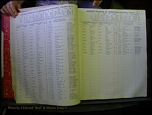 McDowell Marriages, 1851-1991 103.JPG