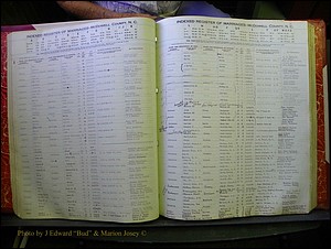 McDowell Marriages, 1851-1991 128.JPG