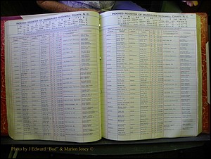 McDowell Marriages, 1851-1991 132.JPG