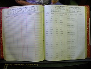 McDowell Marriages, 1851-1991 136.JPG