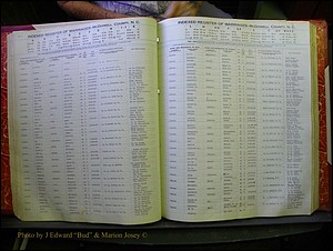McDowell Marriages, 1851-1991 138.JPG