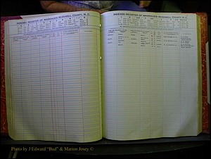 McDowell Marriages, 1851-1991 148.JPG