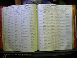 McDowell Marriages, 1851-1991 155.JPG