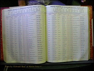 McDowell Marriages, 1851-1991 164.JPG