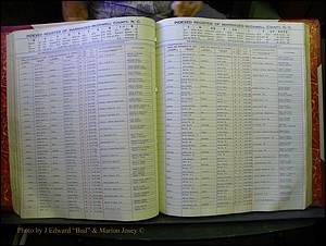 McDowell Marriages, 1851-1991 167.JPG