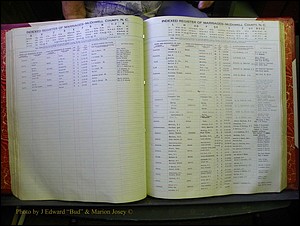 McDowell Marriages, 1851-1991 175.JPG
