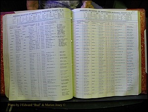 McDowell Marriages, 1851-1991 198.JPG