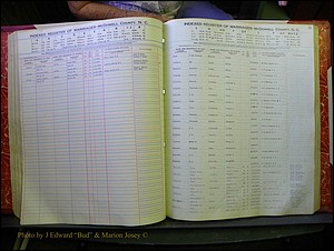 McDowell Marriages, 1851-1991 204.JPG