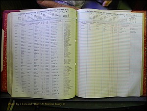 McDowell Marriages, 1851-1991 233.JPG