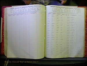 McDowell Marriages, 1851-1991 237.JPG