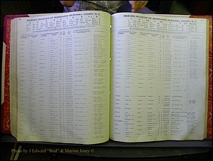 McDowell Marriages, 1851-1991 238.JPG