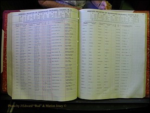 McDowell Marriages, 1851-1991 250.JPG