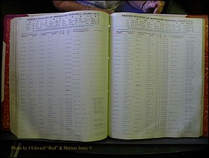 McDowell Marriages, 1851-1991 251.JPG