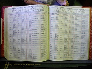 McDowell Marriages, 1851-1991 271.JPG