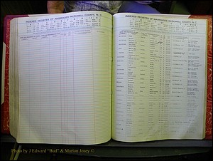 McDowell Marriages, 1851-1991 294.JPG