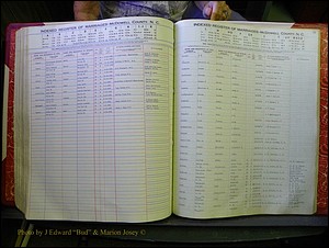 McDowell Marriages, 1851-1991 302.JPG