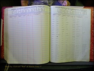 McDowell Marriages, 1851-1991 319.JPG