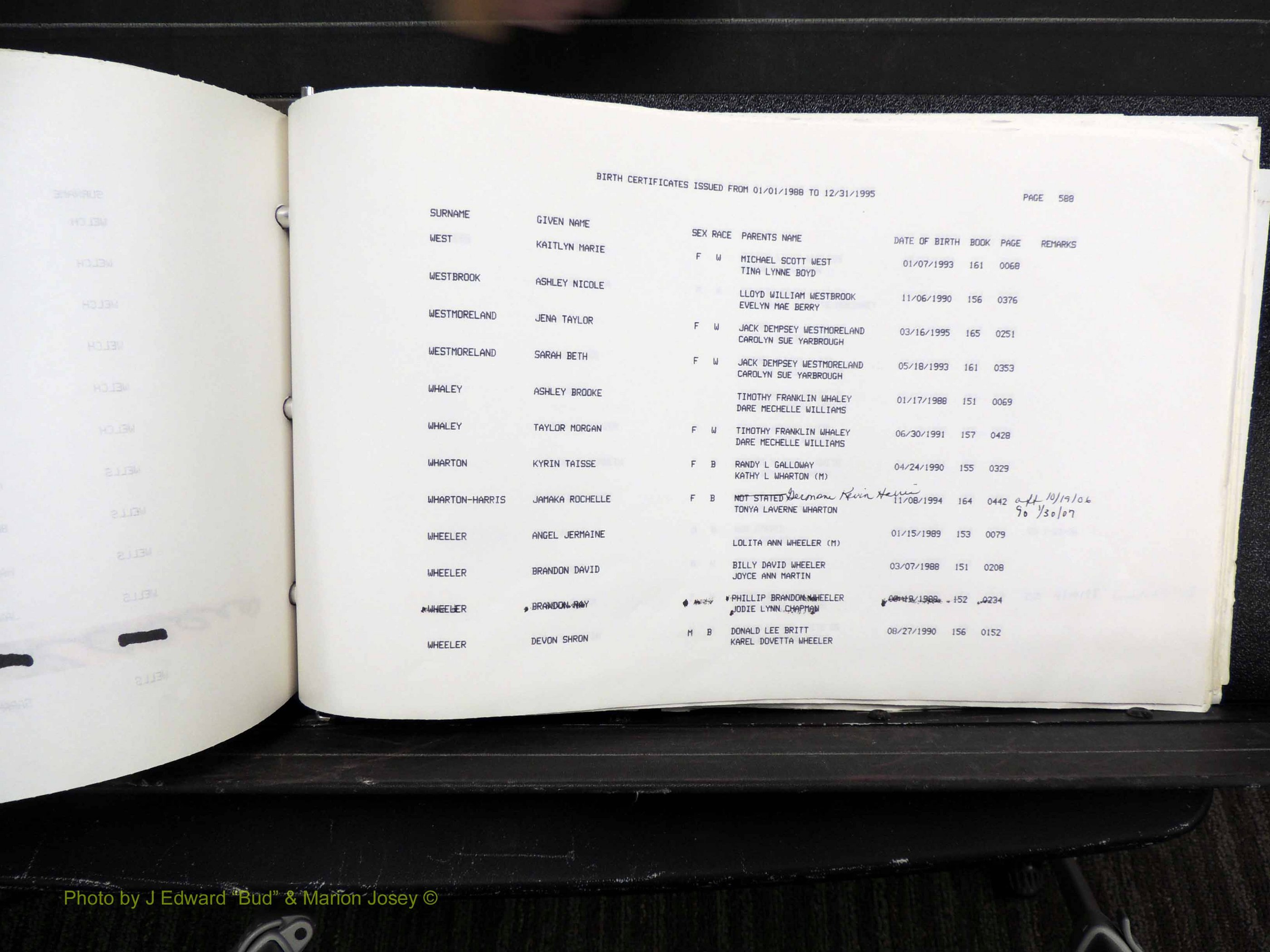 Rockingham Co, NC, Births, 1988-1995 (689).JPG