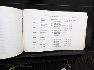 Rockingham Co, NC, Births, 1988-1995 (619).JPG