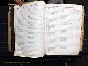 Rockingham Co, NC, Births, 1949-1967 (132).JPG
