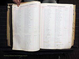 Rockingham Co, NC, Births, 1949-1967 (133).JPG