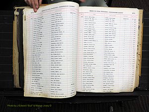 Rockingham Co, NC, Births, 1949-1967 (163).JPG