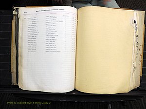 Rockingham Co, NC, Births, 1949-1967 (193).JPG