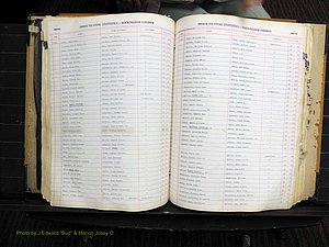 Rockingham Co, NC, Births, 1949-1967 (202).JPG