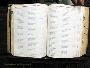 Rockingham Co, NC, Births, 1949-1967 (207).JPG
