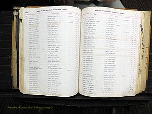 Rockingham Co, NC, Births, 1949-1967 (208).JPG