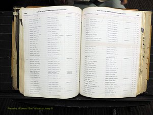 Rockingham Co, NC, Births, 1949-1967 (219).JPG