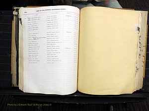 Rockingham Co, NC, Births, 1949-1967 (221).JPG