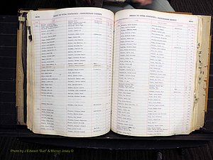 Rockingham Co, NC, Births, 1949-1967 (226).JPG