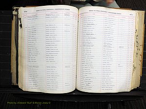 Rockingham Co, NC, Births, 1949-1967 (227).JPG