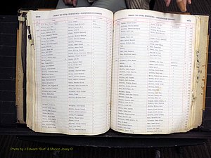 Rockingham Co, NC, Births, 1949-1967 (237).JPG