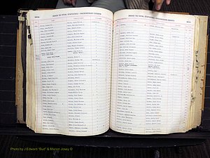 Rockingham Co, NC, Births, 1949-1967 (242).JPG