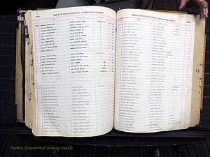 Rockingham Co, NC, Births, 1949-1967 (334).JPG