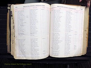 Rockingham Co, NC, Births, 1949-1967 (335).JPG