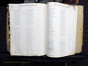 Rockingham Co, NC, Births, 1949-1967 (341).JPG
