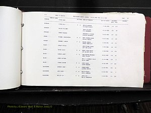 Rockingham Co, NC, Marriages, Births & Deaths 10088.JPG