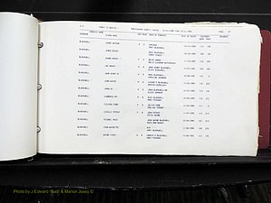 Rockingham Co, NC, Marriages, Births & Deaths 10090.JPG
