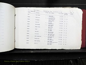 Rockingham Co, NC, Marriages, Births & Deaths 10235.JPG