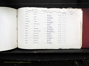Rockingham Co, NC, Marriages, Births & Deaths 10390.JPG