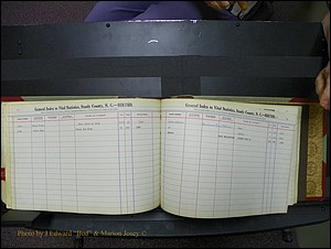 Stanley Co, NC Births, D-E, 1913-1994 (182).JPG