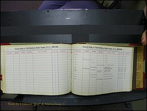 Stanley Co, NC Births, D-E, 1913-1994 (187).JPG
