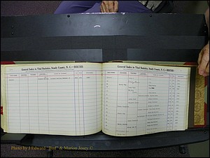 Stanley Co, NC Births, D-E, 1913-1994 (190).JPG